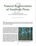 Natural Regeneration of Southern Pines